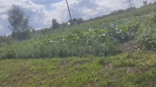 приехали в деревню 🫥к Тамарачке🫣 смотреть онлайн