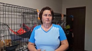 В Донецке нет воды уже почти неделю — как выживают приюты для животных