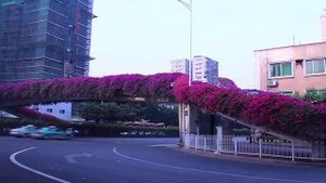 Гуанчжоу: южная жемчужина Китая