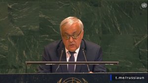 С.В. Вершинин на Международной конференции по урегулированию вопроса о Палестине, 29 июля 2025 года