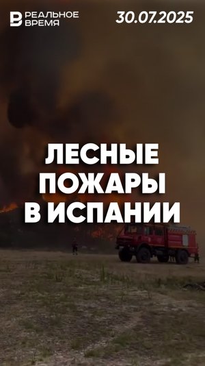 Леса Испании охватил мощный пожар