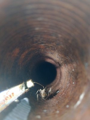 что вы напишите в чат что я буду делать но не всегда некоторые слова Я не могу не прочитать