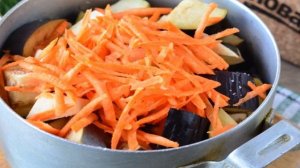 Баклажаны Ивасики телесики