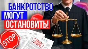 Почему могут прекратить банкротство?