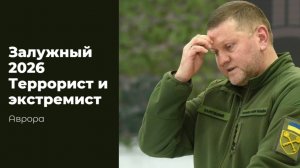 Залужный 2026 Террорист и экстремист