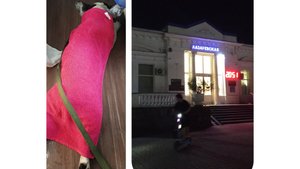 Завершающий день в плацкарте //Поезд 🚉 523//Атака БПЛА в Сальске.29.07.25