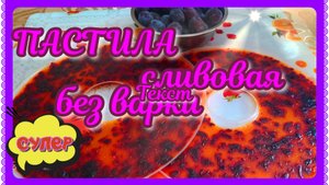 ПАСТИЛА сливовая! Без варки!