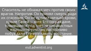 31 июля 2025. Война и мир. Под сенью благодати _ Адвентисты