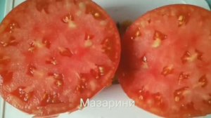 Наш любимый томат Мазарини 💝