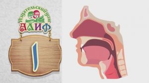Долгая буква ا _Алиф_ Места артикуляции звуков арабского алфавита