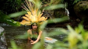 14150017_1920_1080_24fps