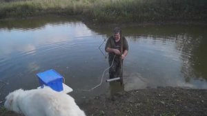 Готовлю пруд к зиме, изготовление плавающего аэратора,  рыбалка.