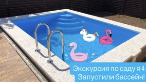 Экскурсия по саду # 4. Запустили бассейн, начали укладывать плитку в его основании, обрезал оливы