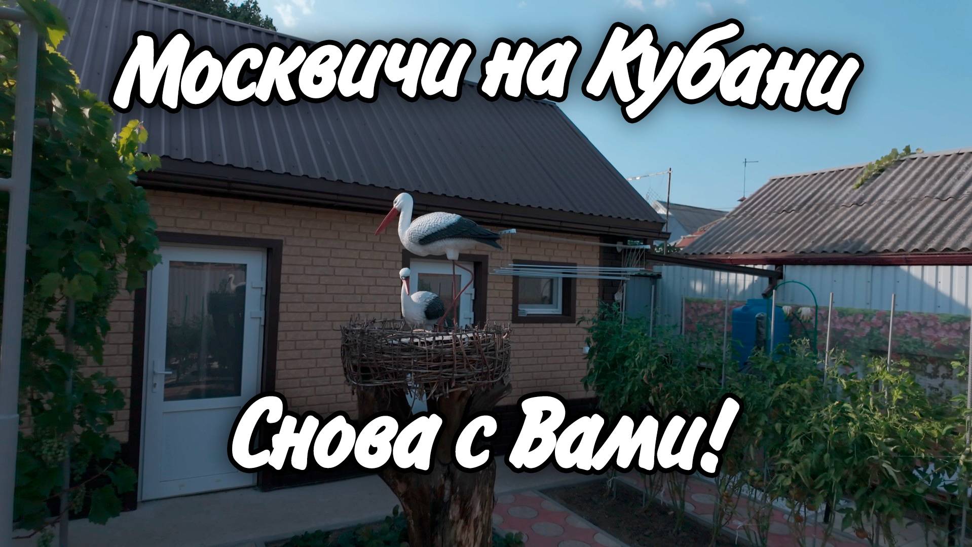 На Ейской косе сорвали сумку с документами! Как можно облагородить 5 соток земли! смотреть онлайн