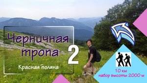 Черничная тропа 2