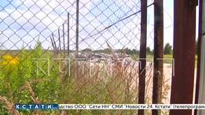 Земли принадлежащие фермеру, районные власти отдали под незаконную свалку мусорщикам