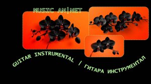 Music AN|NET. Клип - Orchid of Love (mood guitar instrumental)