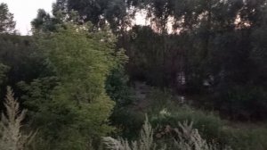 Прогулка за хорошей фотографией