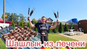 Шашлык из печени/ Аджапсандал/ Готовим в жару на улице