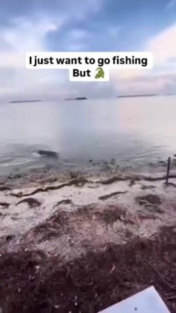 Обычная рыбалка во Флориде