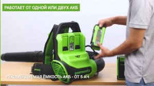 Аккумуляторная воздуходувка Greenworks GD40BPG2 (арт. 2408107)