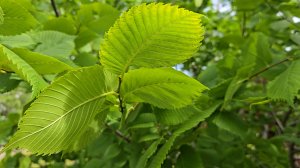 Коллективы учреждений социальной сферы активно участвуют в инициативных проектах