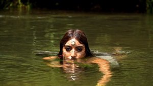 14149994_1920_1080_24fps