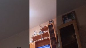 всем приветики