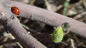 путешествие по диким местам России