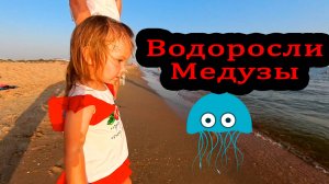 Анапа Витязево 29 июля 2025
Водоросли Медузы