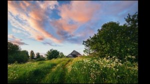Летний вечер. Николай Заболоцкий.