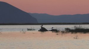 Рыбалка на Красноярском водохранилище. Усть Абакан лето 2025 часть 12