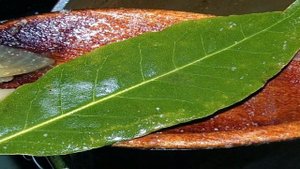 Быстрый картофельный суп-крем