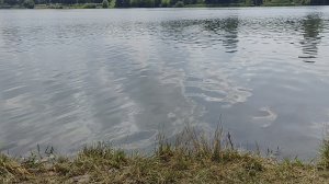 Влог. Поплавали в пруду. Народу много в понедельник. Тарелочки.