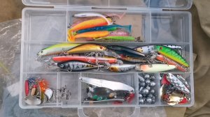 Поездка на родник. Ловля щуки на спиннинг. 1 июня 2025.год.