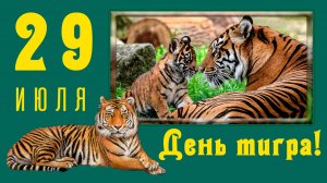 Международный день тигра