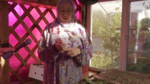 29 07 25 новости