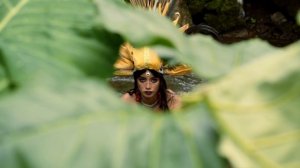 14149968_1920_1080_24fps