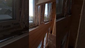 1000030518.mp4 (Собака наблюдает за креплением имитации бруса в доме А-фрейм)