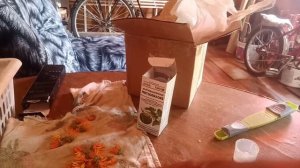 💁Как спасти виноград от заболеваний без обработки перед созреванием 😊🍇