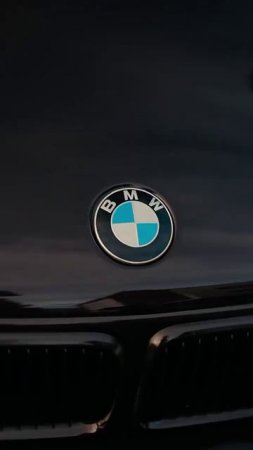 1000019831.mp4