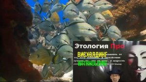 Игра в молчанку _ Висхолдинг стал оружием манипуляции (R)