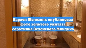 Нардеп Железняк опубликовал фото золотого унитаза соратника Зеленского Миндича