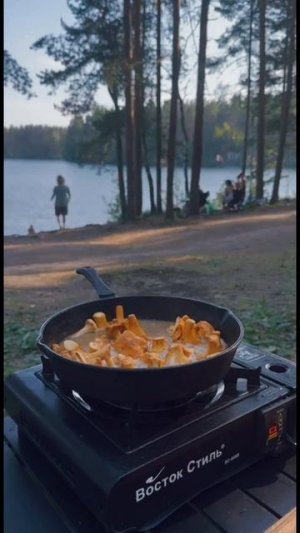 Мой кемпинг бэкстейдж  #survival  #forest  #camping