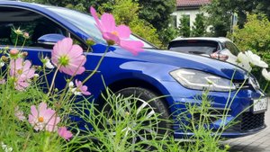 Продажа VW Golf 7.5 R-Line 1.4 TSI