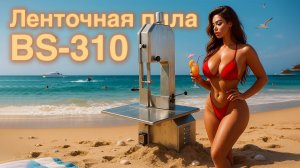 Обзор на Ленточную пилу BS-310