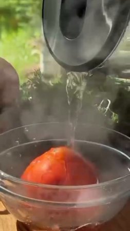 блюда из кабачков