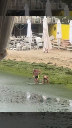 Море в Одессе затянуло водорослями