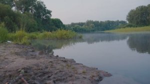 СЫЛВА_часть_2