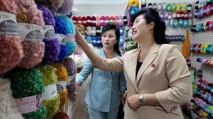 Гостьи из КНДР в Люберцах